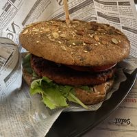 Green Fox  at Der Fuchs Geht Rum in Willstaett