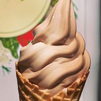 Vegan Chocolate Ice Cream! at Earth's Harvest - Food Truck in Springfield