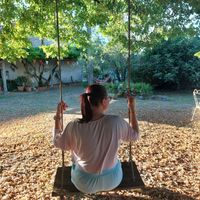  at Under The Lime Tree in Angouleme