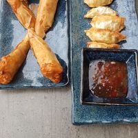 crispy spring rolls and gyoza at Happy Kitchen in Baden Baden