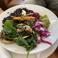 Up close at Tracks Cafe in Queenstown