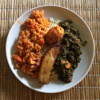 Plate of the day: red lentil stew, kale, croquette, and plantain on a bed of millet at BongoRoots in Tubingen