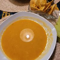  at BongoRoots in Tubingen