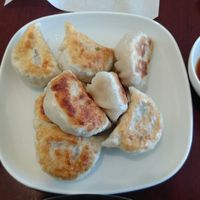 Fried dumplings  at Veggie Chef in Oakleigh