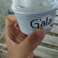 Coppetta con gelato allo yogurt vegano at Gala Santa Teresa Gallura in Santa Teresa Di Gallura