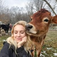  at Stahl's No Harm Farm Animal Sanctuary in Uniontown