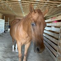 Preacher at Sunrise Sanctuary in Marysville