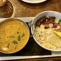 Curry  at Soya Cantine Bio in Paris