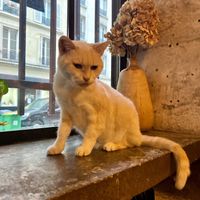 Oh hello   at Soya Cantine Bio in Paris