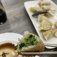Potstickers with healthy filling  at House of Fortune in Rowland Heights