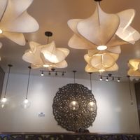 Fancy at House of Thai in Cookeville