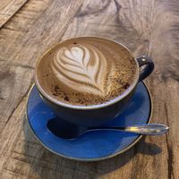 Mocha at Utopia in Inverness