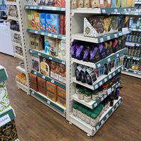 Lots at Easter Greens - Morningside in Edinburgh