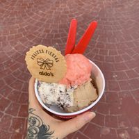 Hazelnut flavor is my fav ❤️‍🔥 #Veganuary at Aldo's Gelato in Playa Del Carmen