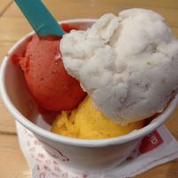 Aldo's ice cream at Aldo's Gelato in Playa Del Carmen