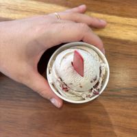   at Aldo's Gelato in Playa Del Carmen