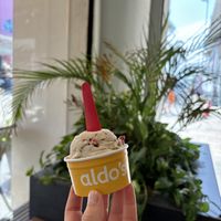   at Aldo's Gelato in Playa Del Carmen