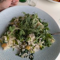 Green risotto at Signor Valentino in Cardiff