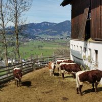  at Sauschneidhof in Radstadt