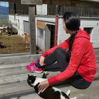 View with cat 🐈♥️ at Sauschneidhof in Radstadt