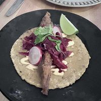 Fish tacos  at Bloom in Chicago