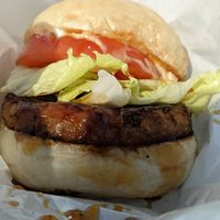 テリヤキ at Plantruck - Maybe closed in Osaka