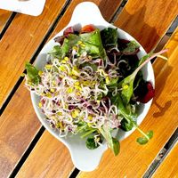 Starter "Beilagensalat" at Alte Kanzlei in Stuttgart