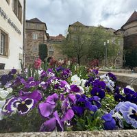 The view of the old castle at Alte Kanzlei in Stuttgart