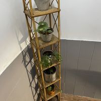 Inside  at Santa y Pura in Madrid