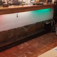 Bar area at Santa y Pura in Madrid