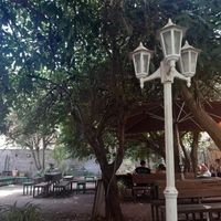  at Café 7 in Tenerife