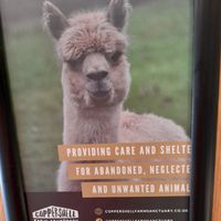 Partnership with the nearby sanctuary❤ at Harp & Crown in Corsham