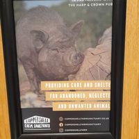  at Harp & Crown in Corsham