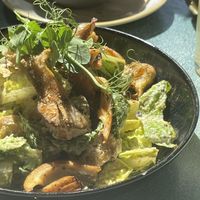   at Harp & Crown in Corsham