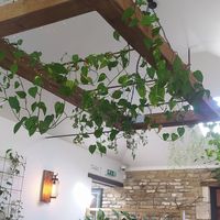  at Harp & Crown in Corsham