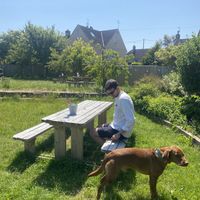   at Harp & Crown in Corsham