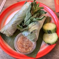 Veggie Spring Rolls  at Sweet Basil in Franklin