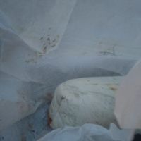  at Jim Burrito's in Hamburg