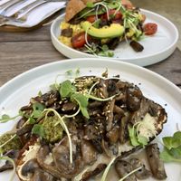   at Wildsprout in Western Cape