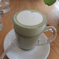 Matcha latte with oat milk at Wildsprout in Western Cape