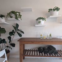  at Wildsprout in Western Cape