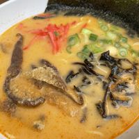 Spicy Vegan Ramen   at Kukai in Tucson