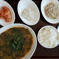 Wild vegetable soup at Ooh Breado Teobachae - 터바채 비건 레스토랑 in Seoul