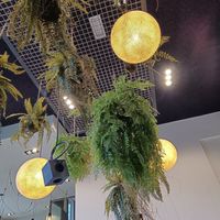  at Anne&Max - Domkwartier in Utrecht