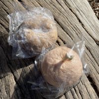 Apple cinnamon& stillen  at Kamogawa Bakery - Kamigyo in Kyoto