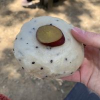 sesame & sweet potato  at Kamogawa Bakery - Kamigyo in Kyoto