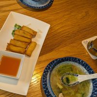 vegan spring rolls & wan ton soup at Zamui in Baden Baden