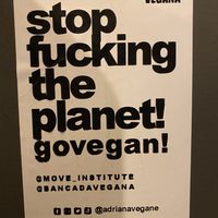 Não Fala Inglês!  at It's Vegan in Sao Paulo