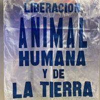   at It's Vegan in Sao Paulo