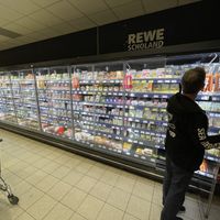 All vegan  at REWE Scholand in Muelheim